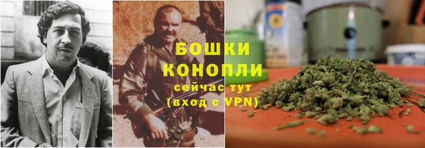 сатива Арсеньев