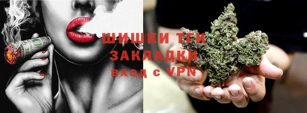 сатива Арсеньев