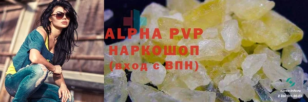 сатива Арсеньев