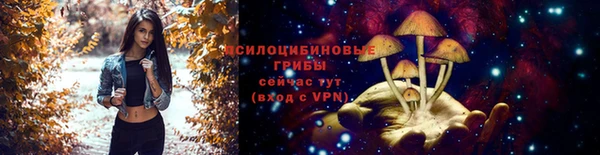 ПСИЛОЦИБИНОВЫЕ ГРИБЫ Нязепетровск