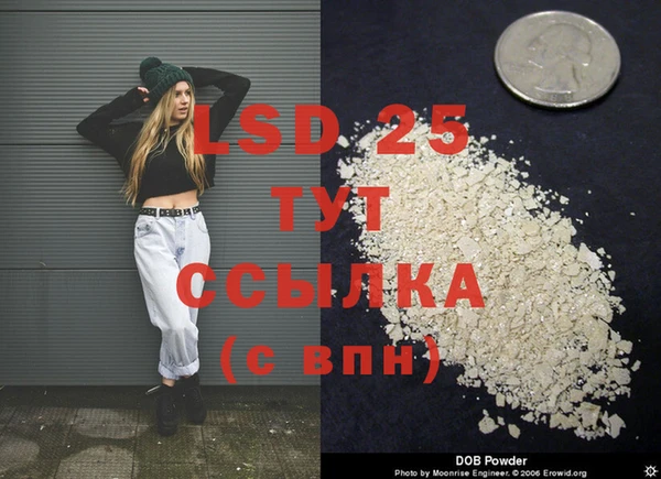 сатива Арсеньев