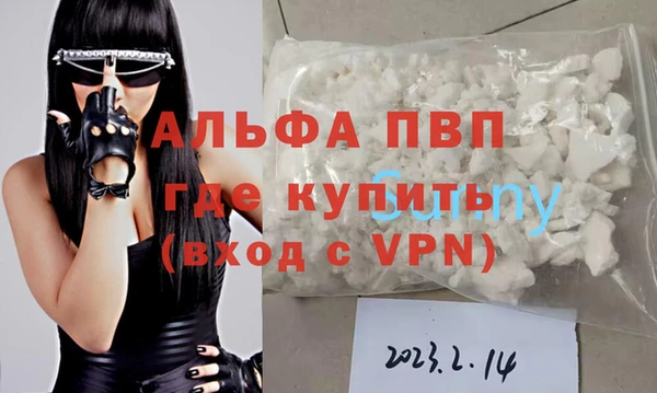 сатива Арсеньев